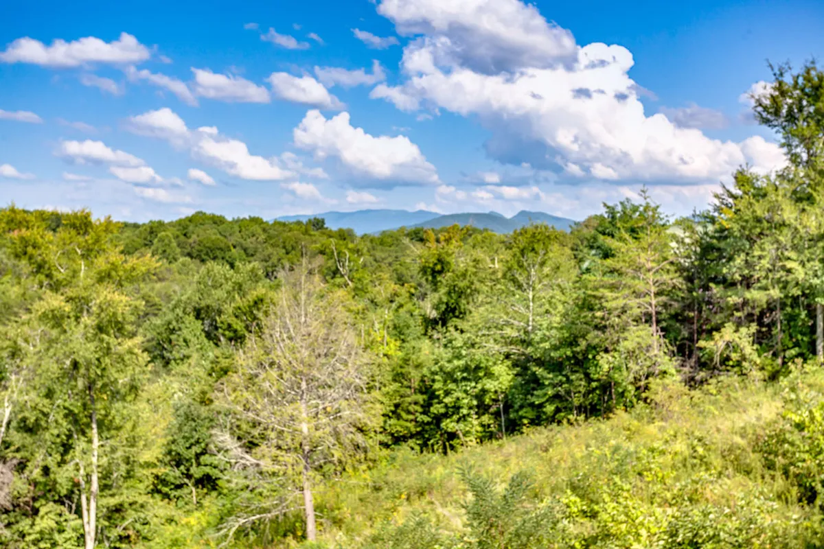 Expansive views of lush greenery and distant mountains under a cloudy sky set the scene for outdoor adventure. This vista captures the natural beauty surrounding Royal Bliss, suggesting opportunities for exploration and activities like hiking and nature watching, which are central to the local experience.